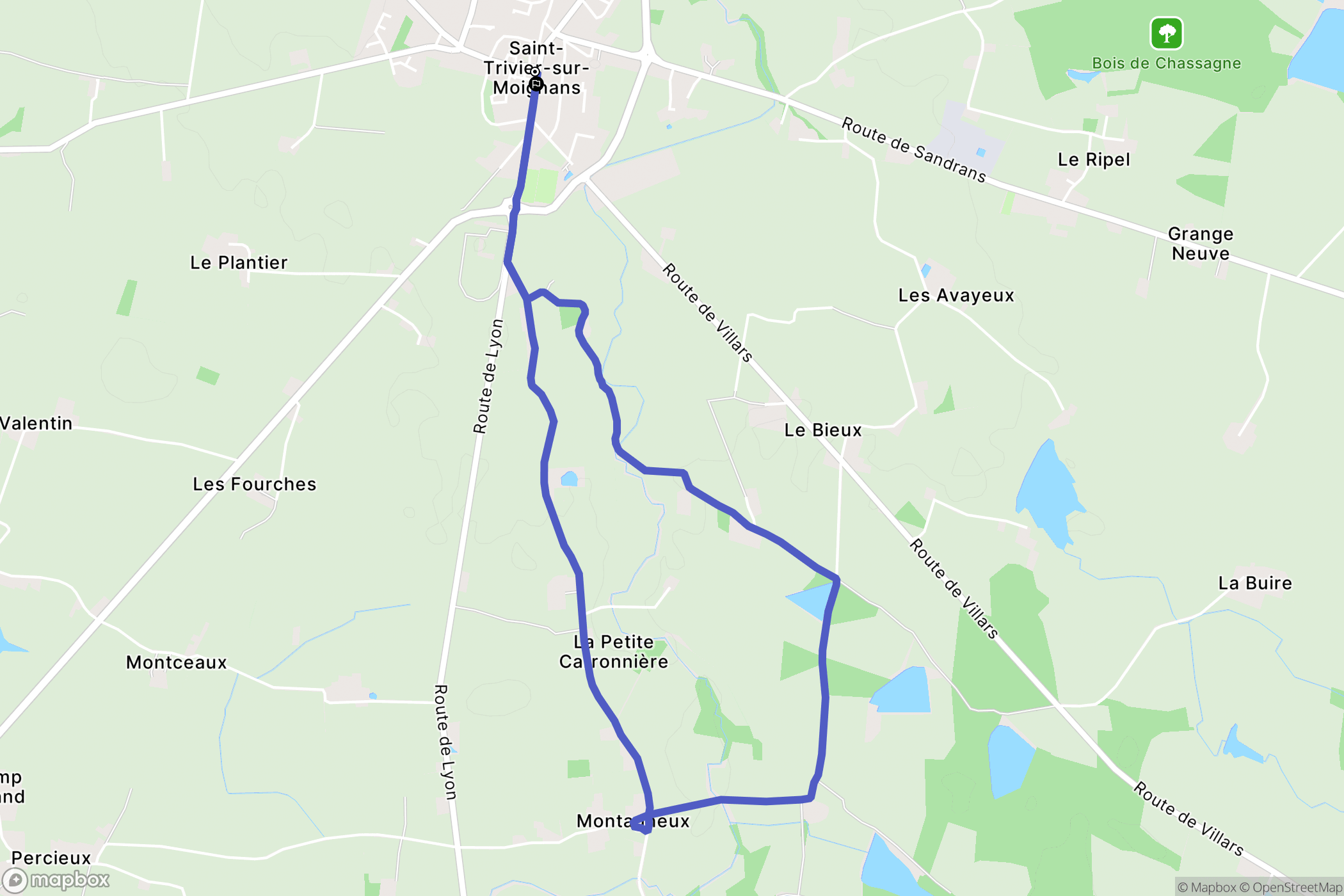 Saint-Trivier-sur-Moignans : carte du parcours de randonnée - France