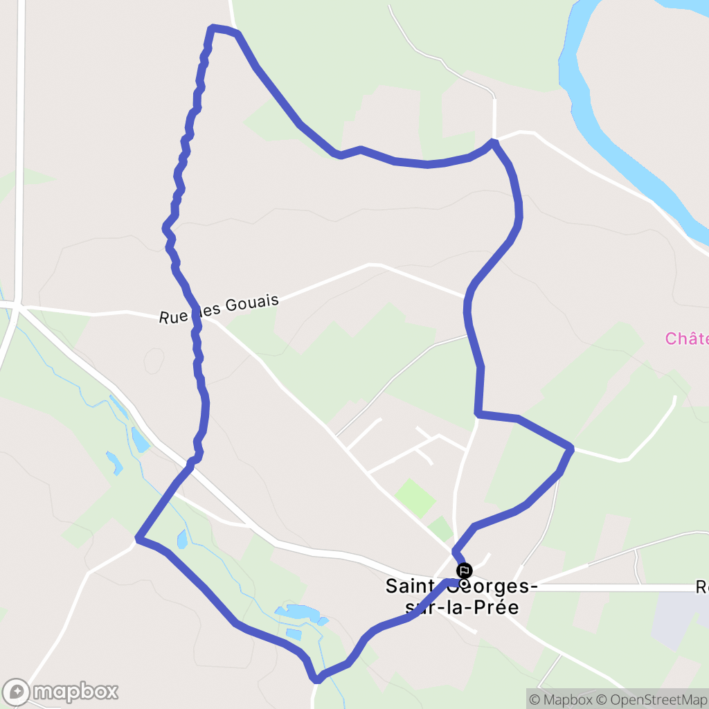Saint-Georges-sur-la-Prée : carte du parcours de randonnée - France