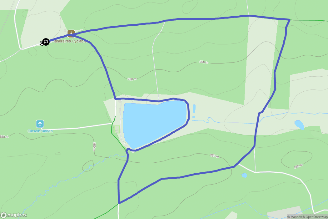 Diebling : carte du parcours de randonnée - France