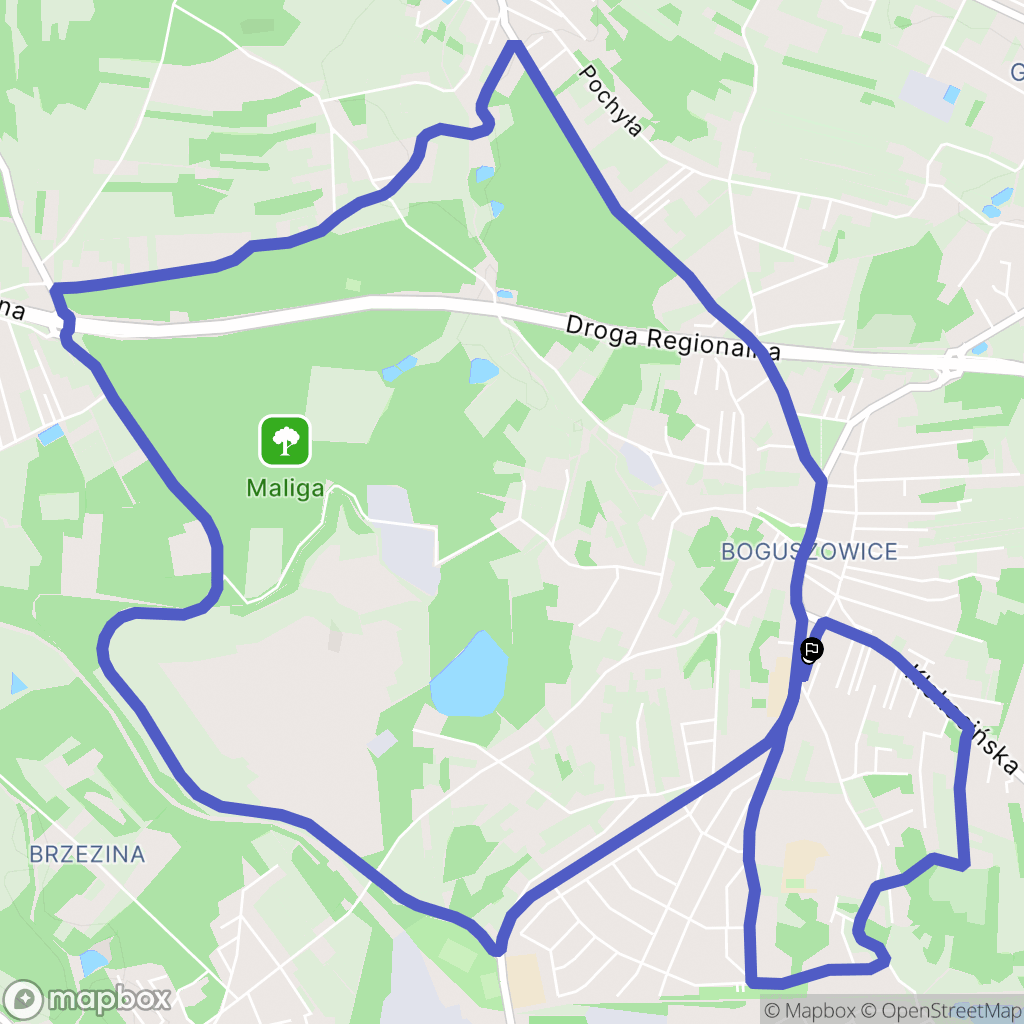 Rybnik: mapa trasy - Poland