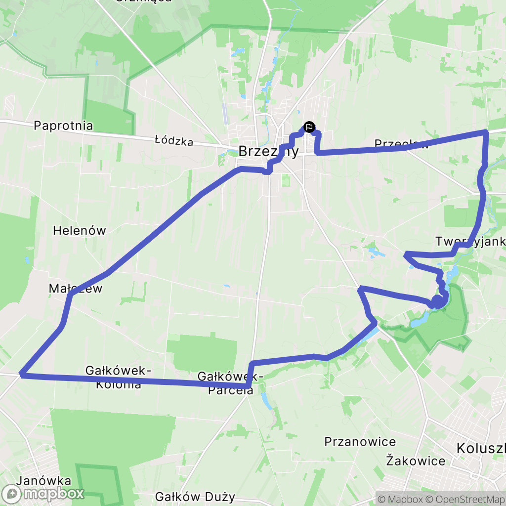 Brzeziny: mapa trasy - Poland