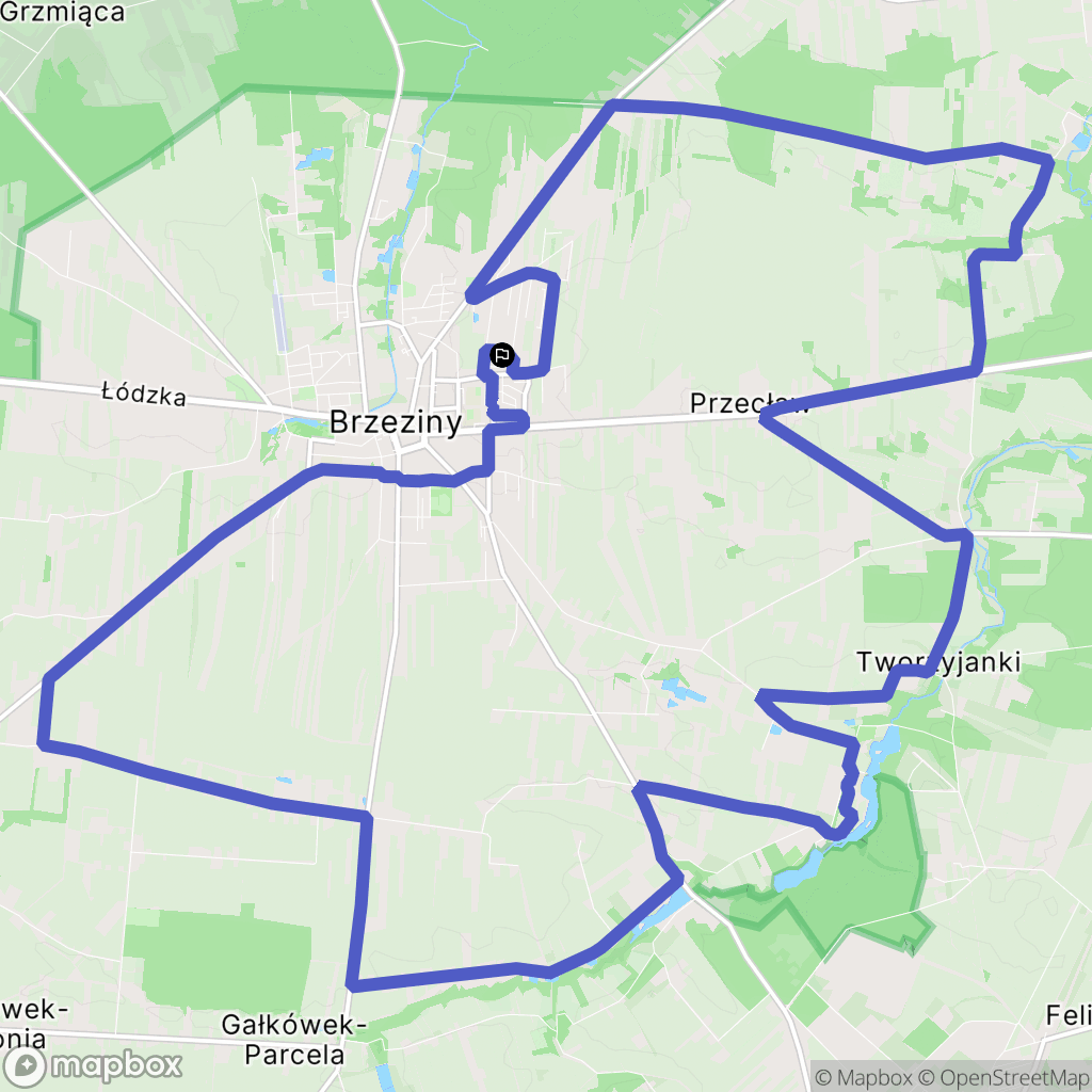 Brzeziny: mapa trasy - Poland