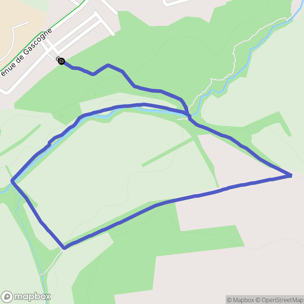 La Salvetat-Saint-Gilles : carte du parcours de randonnée - France