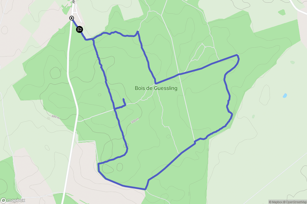 Guessling-Hémering : carte du parcours de randonnée - France