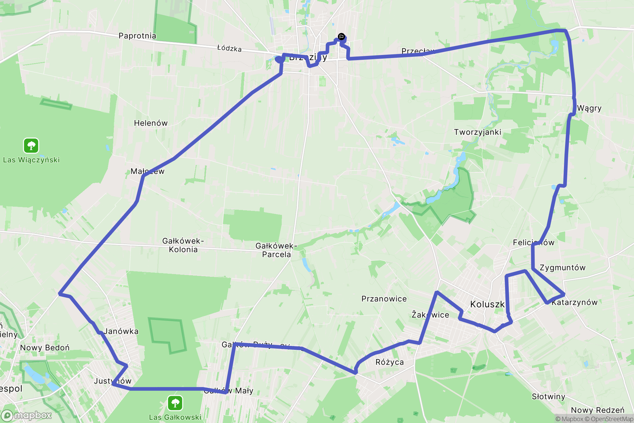 Brzeziny: mapa trasy - Poland
