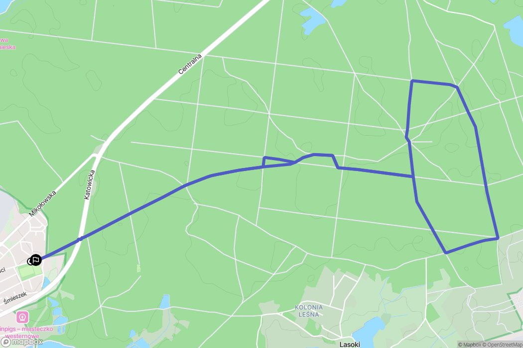 Żory: mapa trasy - Poland