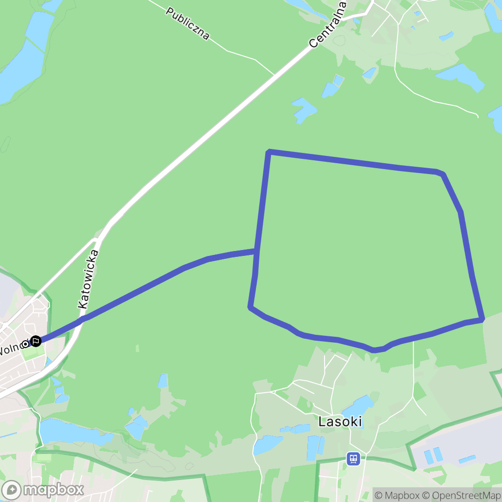 Żory: mapa trasy - Poland