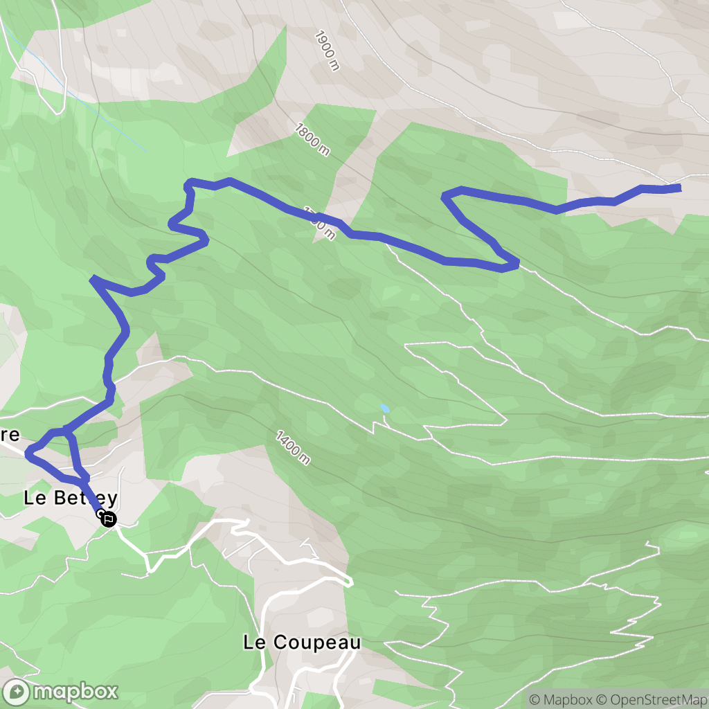 Les Houches - Coupeau: routekaart voor buitenactiviteiten - France