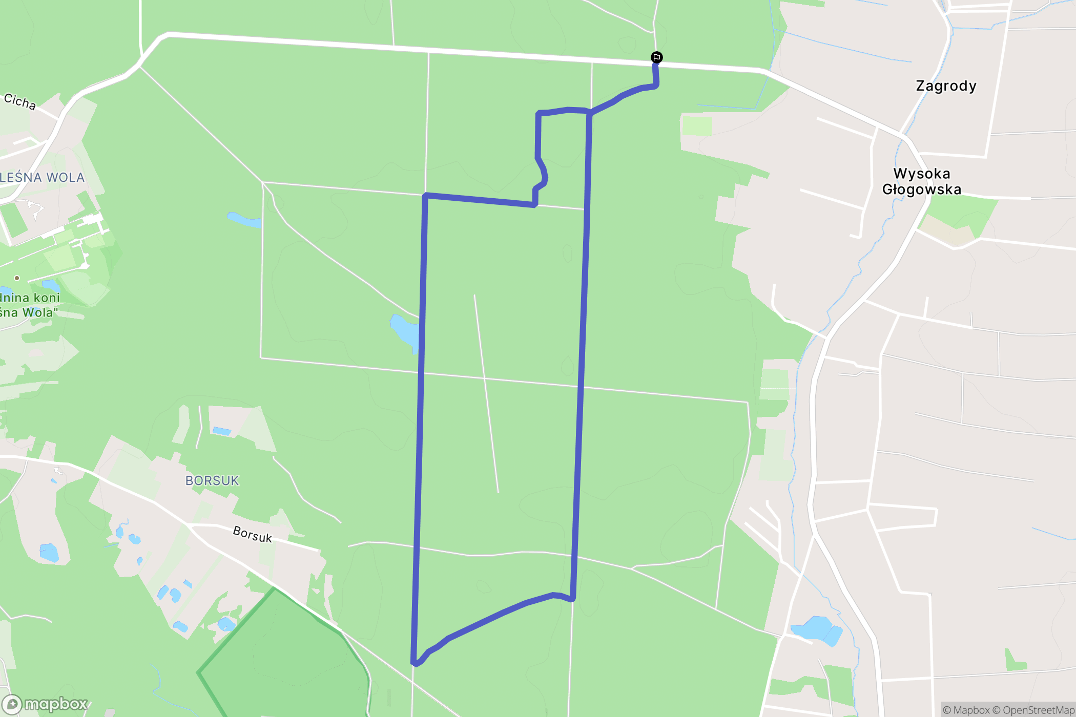 Wysoka Głogowska: mapa trasy - Poland