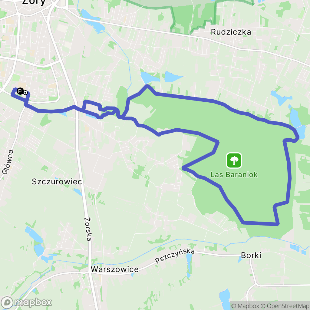 Żory: mapa trasy - Poland