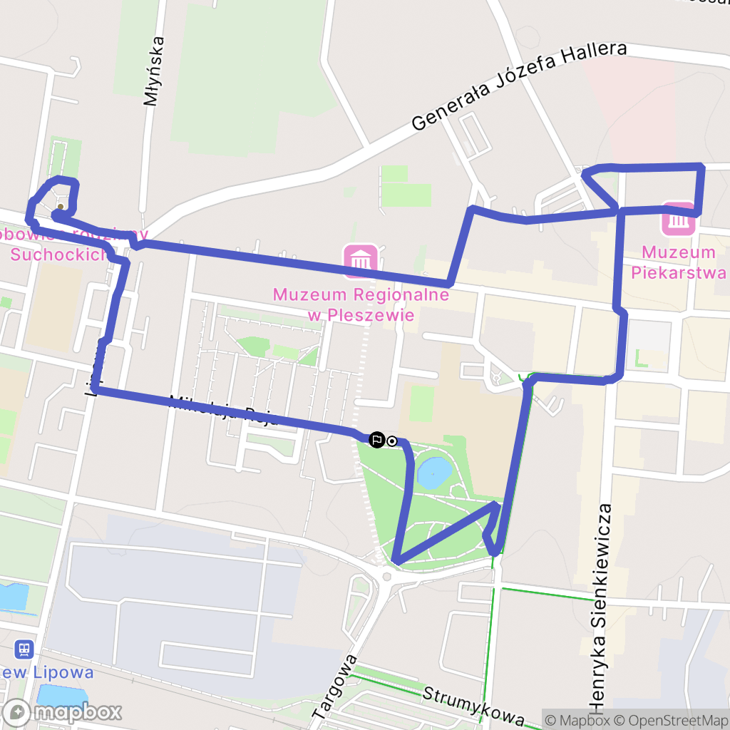 Pleszew: mapa trasy - Poland