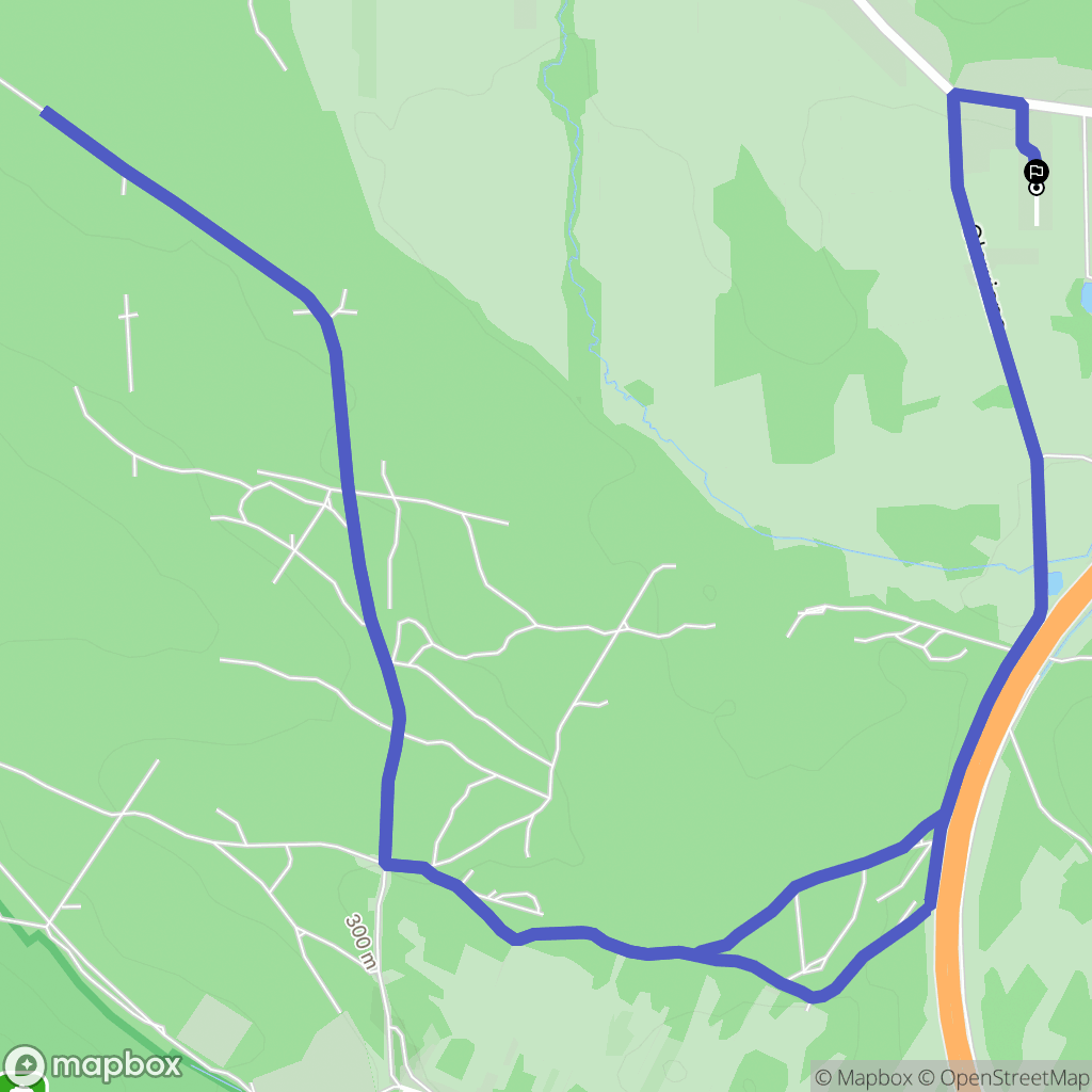 Szewce: mapa trasy - Poland
