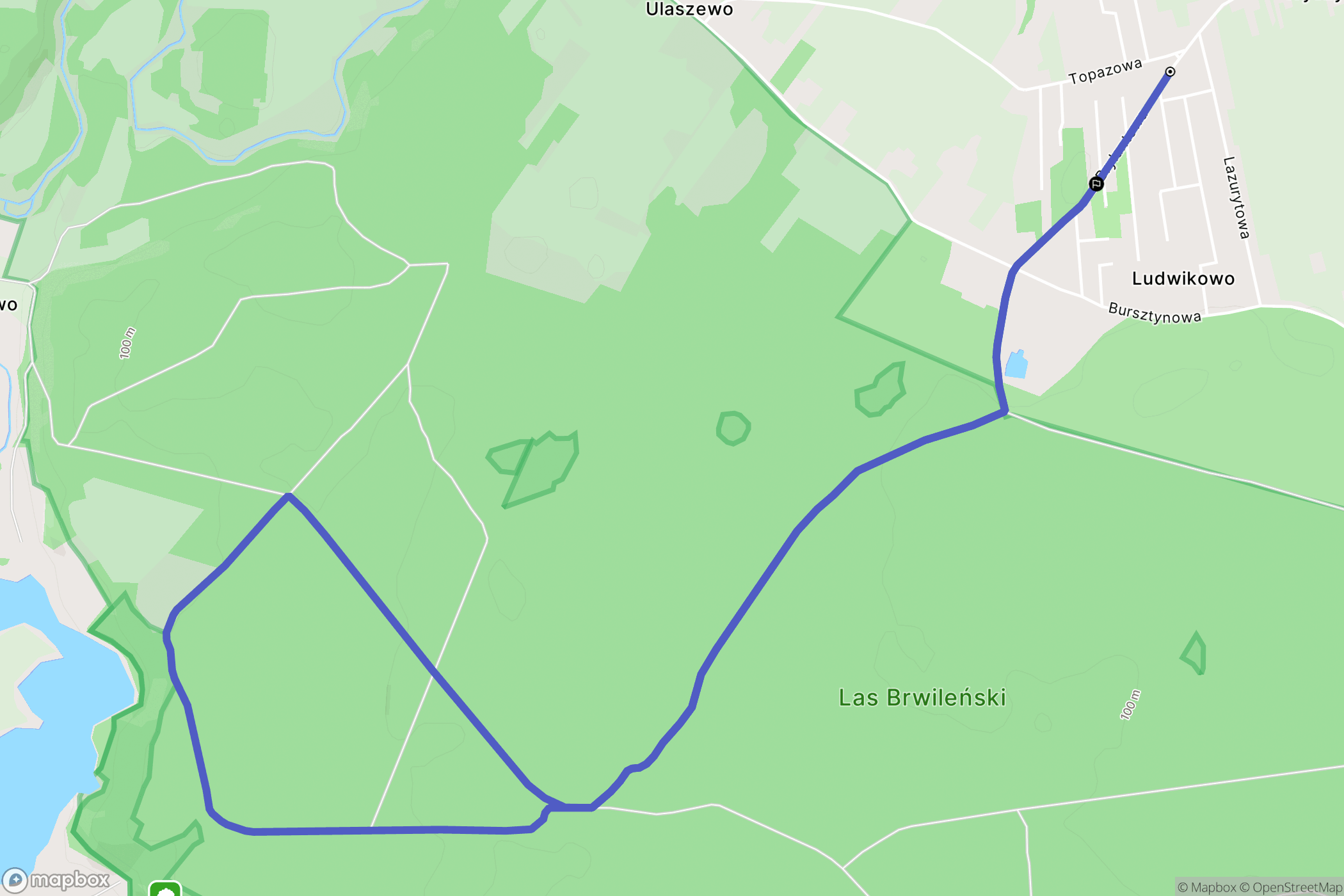 Ludwikowo: mapa trasy - Poland
