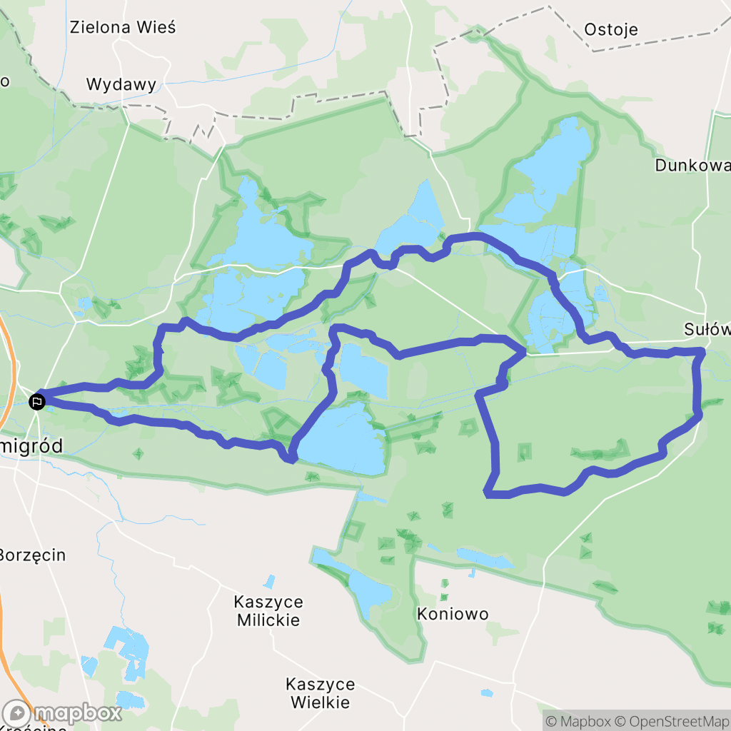 Żmigród: mapa trasy - Poland