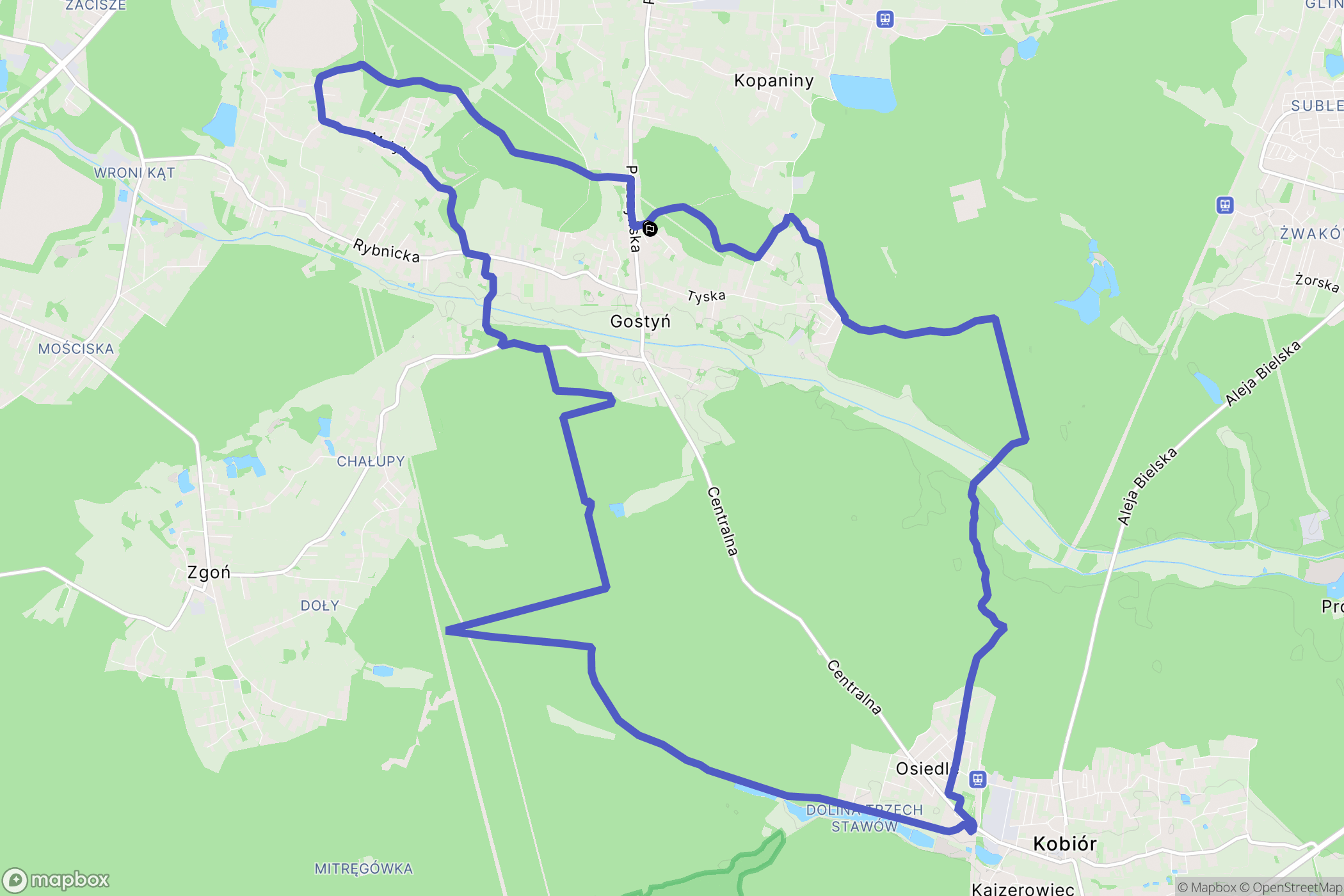 Gostyń: mapa trasy - Poland