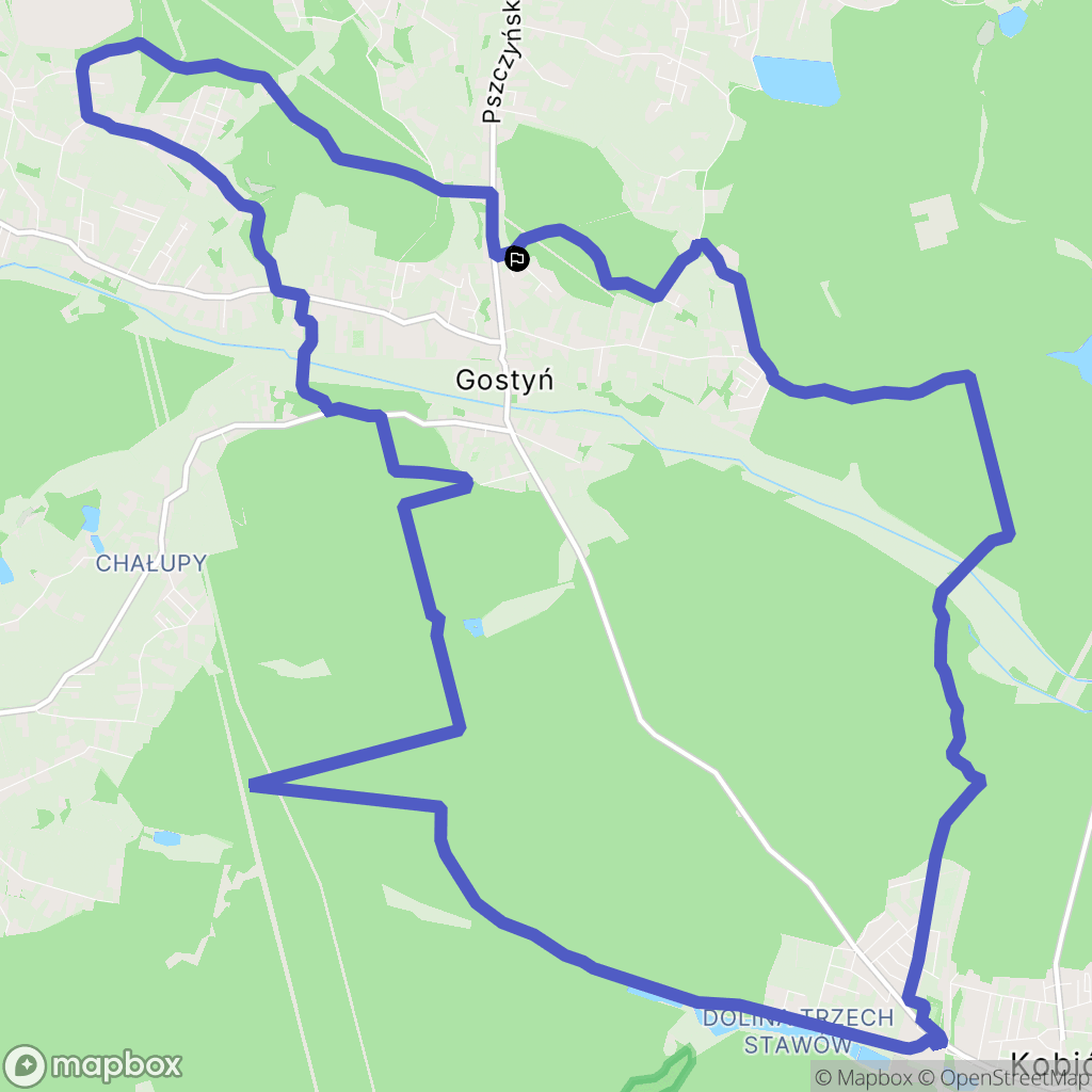 Gostyń: mapa trasy - Poland