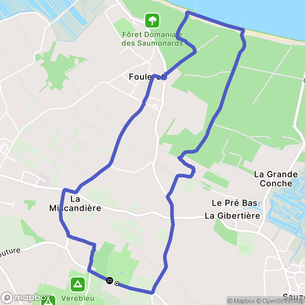 Saint-Georges-d'Oléron : carte du parcours de randonnée - France