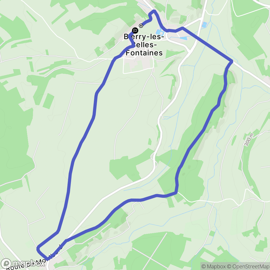 Bierry-les-Belles-Fontaines : carte du parcours de randonnée - France