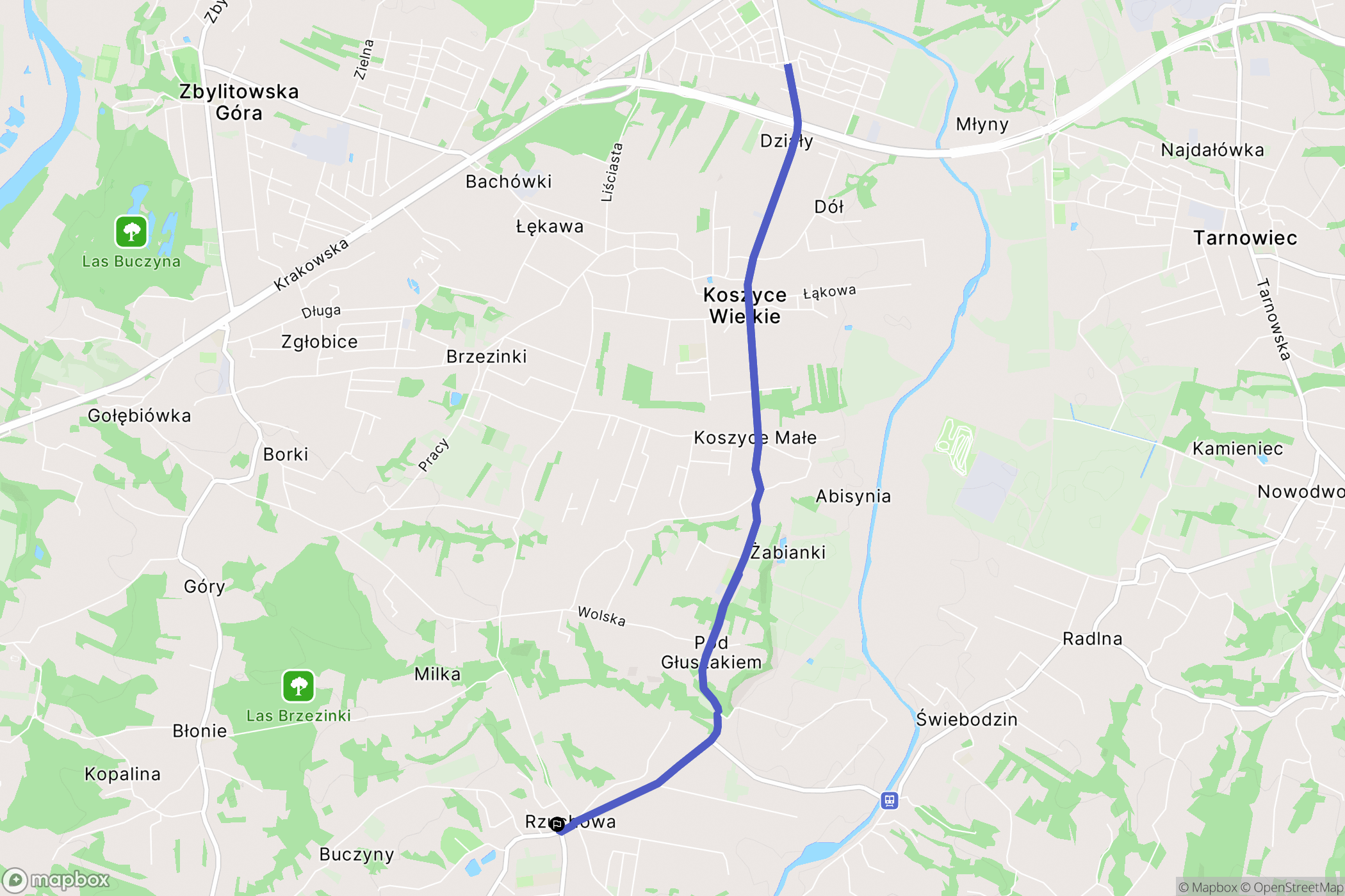 Rzuchowa: mapa trasy - Poland