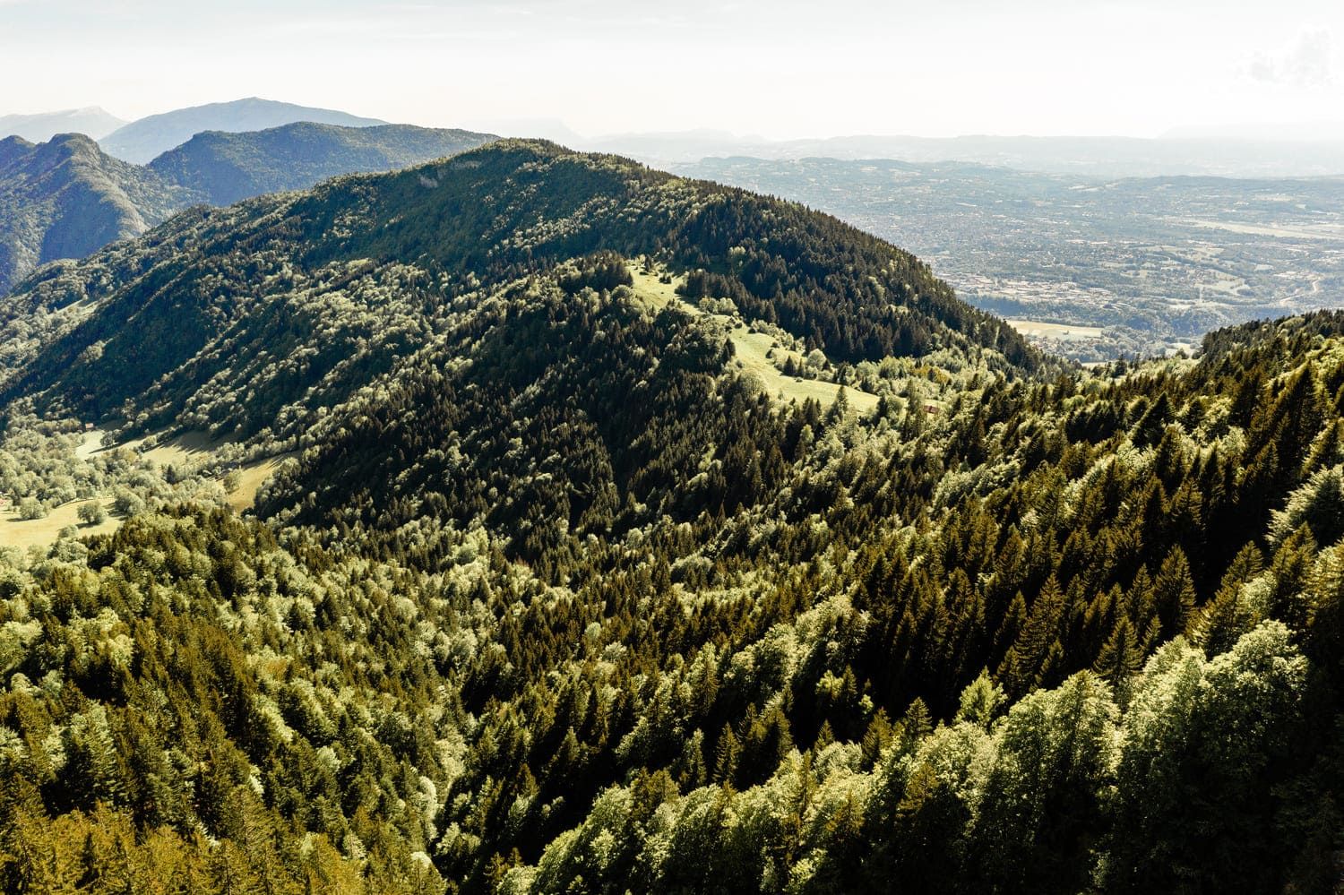 Randonnée mont Veyrier : vue sommets montagneux recouverts d'arbres et de pelouse