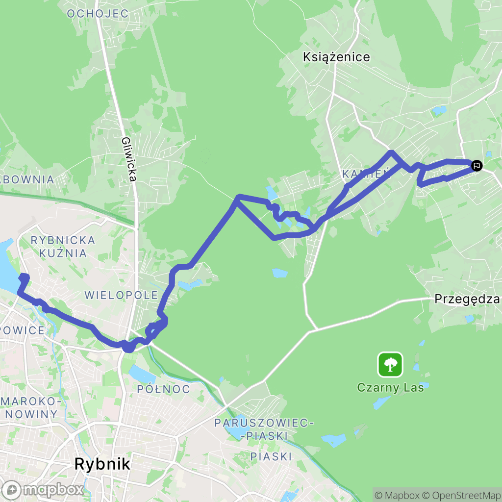 Czerwionka-Leszczyny: mapa trasy - Poland