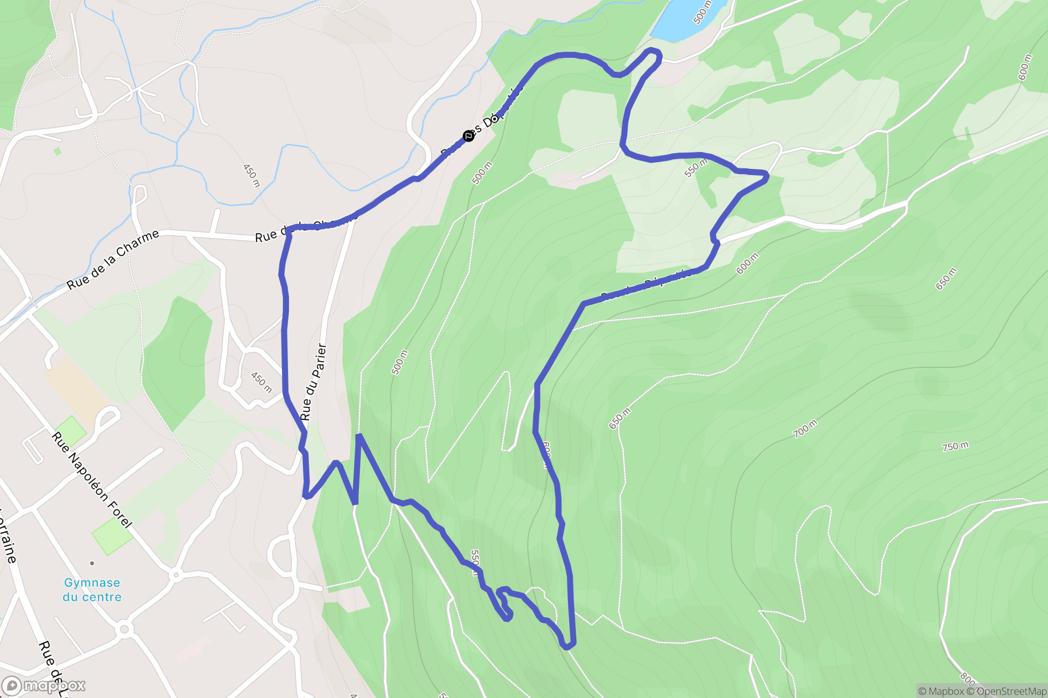 Rupt-sur-Moselle : carte du parcours de randonnée - France