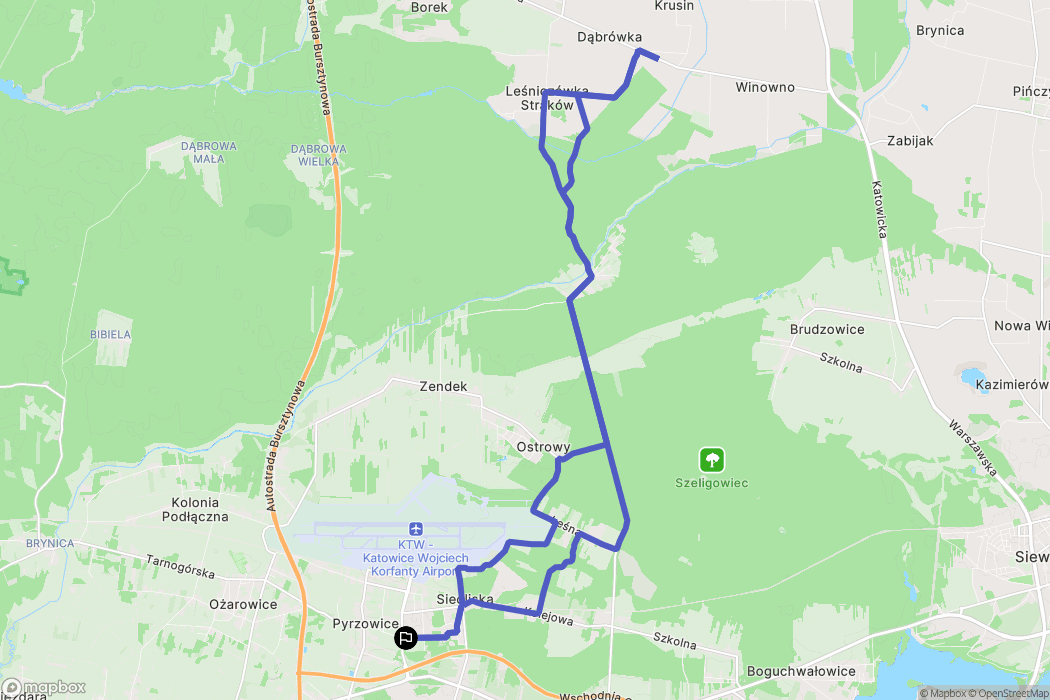Pyrzowice: mapa trasy - Poland