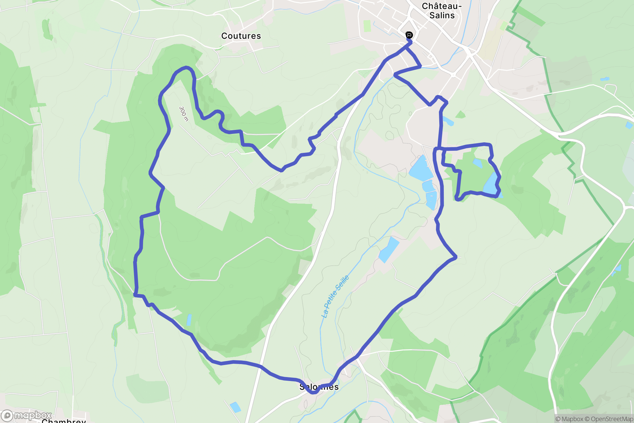 Château-Salins : carte du parcours de randonnée - France