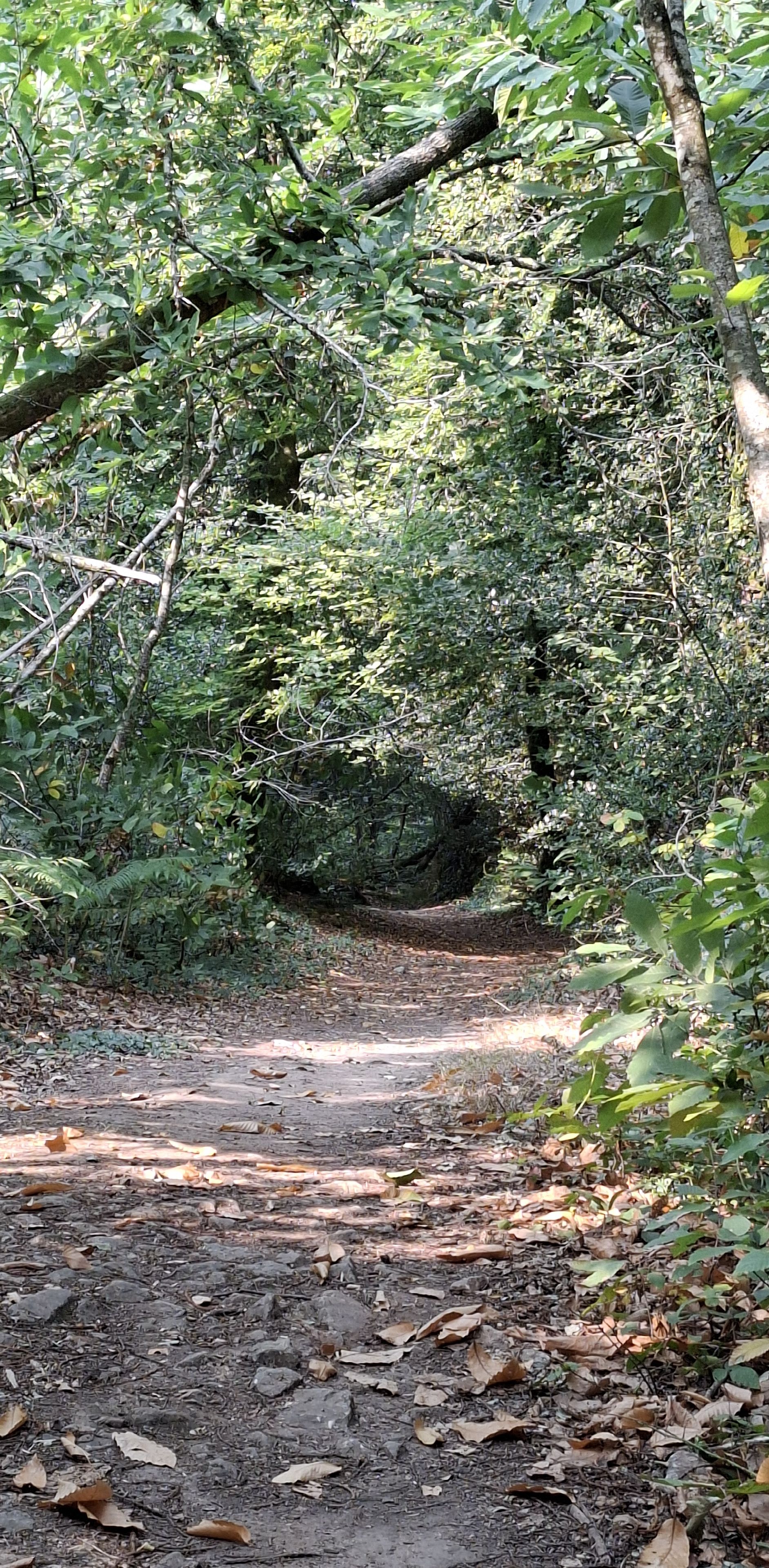 Chemin de halage jusqu'&agrave; inzinzac lochrist