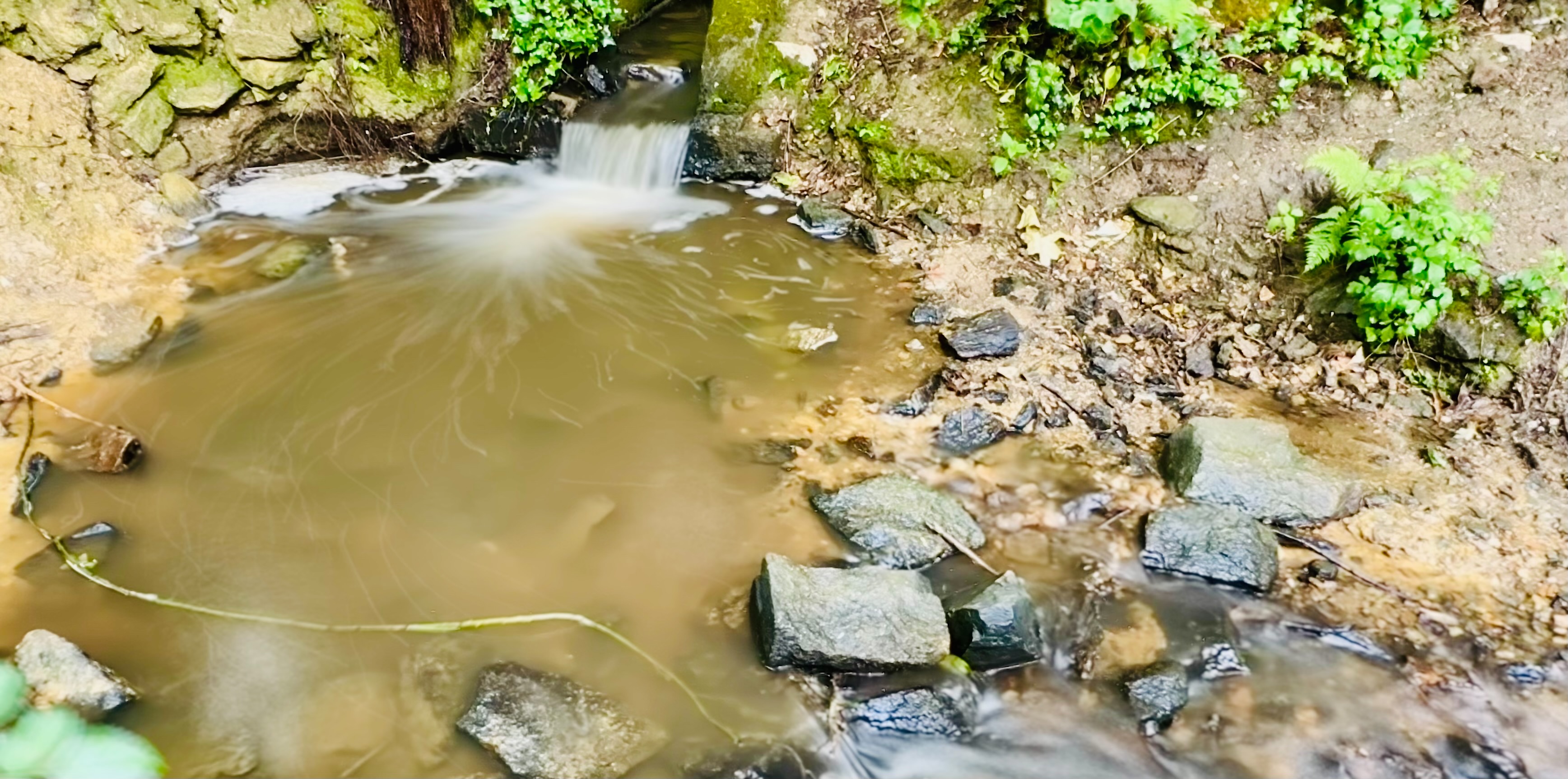 Du ruisseau du pont Guerin aux châteaux du Gesvres, image size:3473x1727