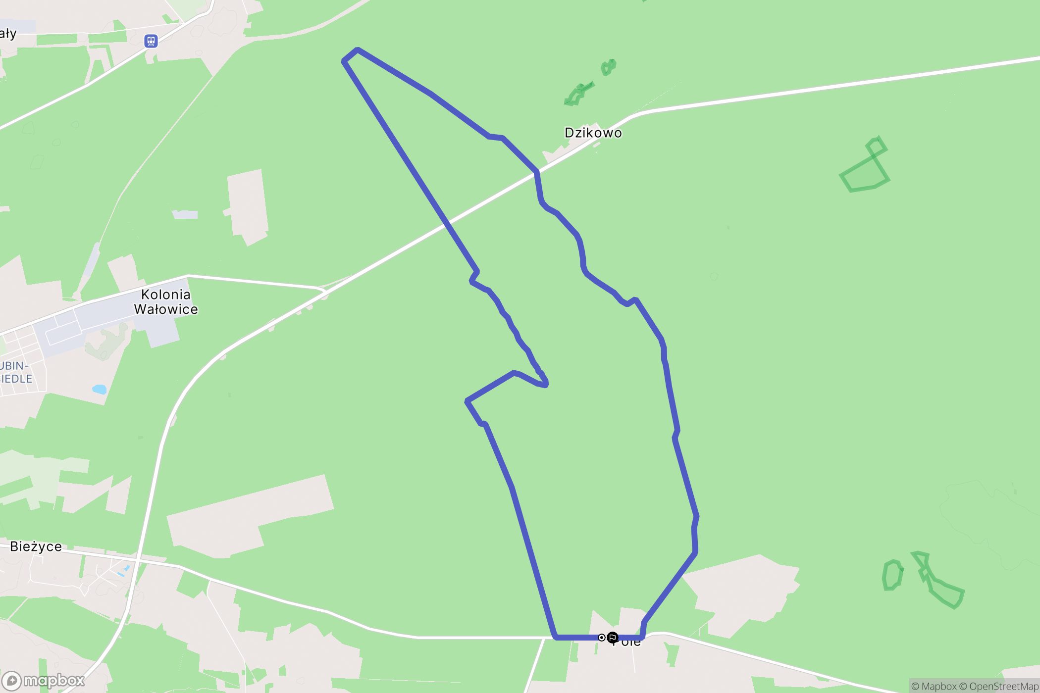 Pole: mapa trasy - Poland