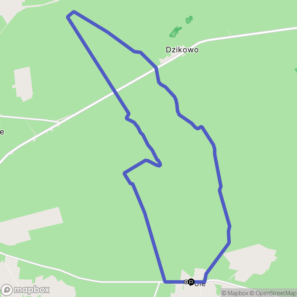 Pole: mapa trasy - Poland
