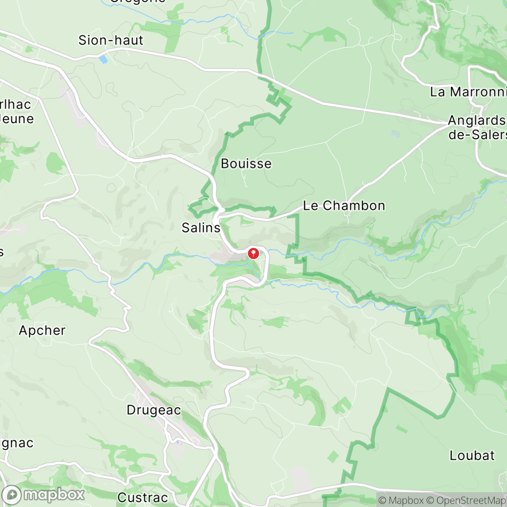 Carte de la zone de délimitation de randonnee-cascade-de-salins-cantal