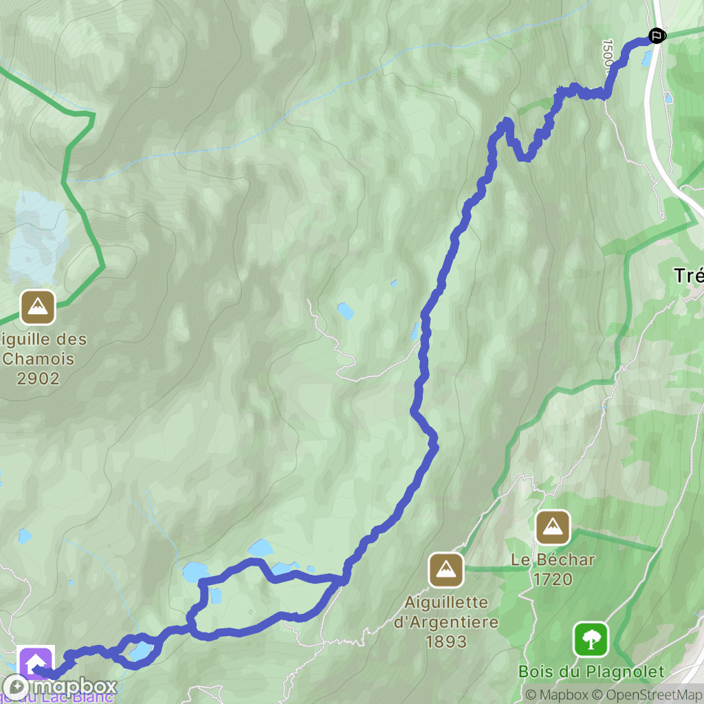 Tré-le-Champ-le-Haut, Chamonix-Mont-Blanc : carte du parcours de randonnée - France