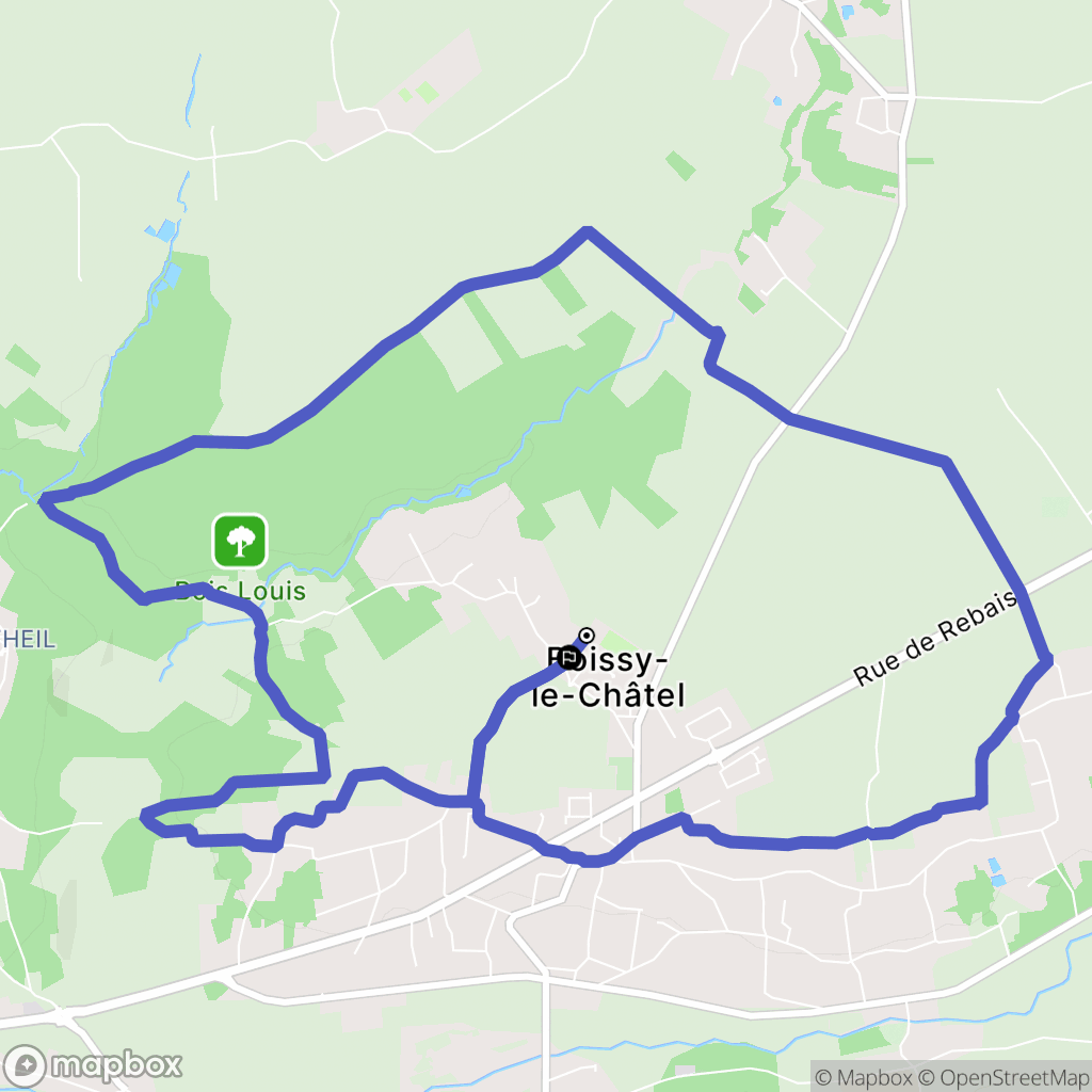 Boissy-le-Châtel : carte du parcours de randonnée - France