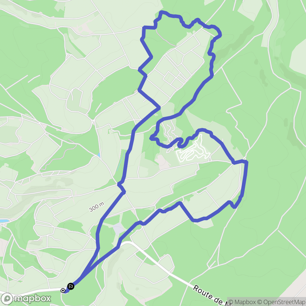 Les Riceys : carte du parcours de randonnée - France