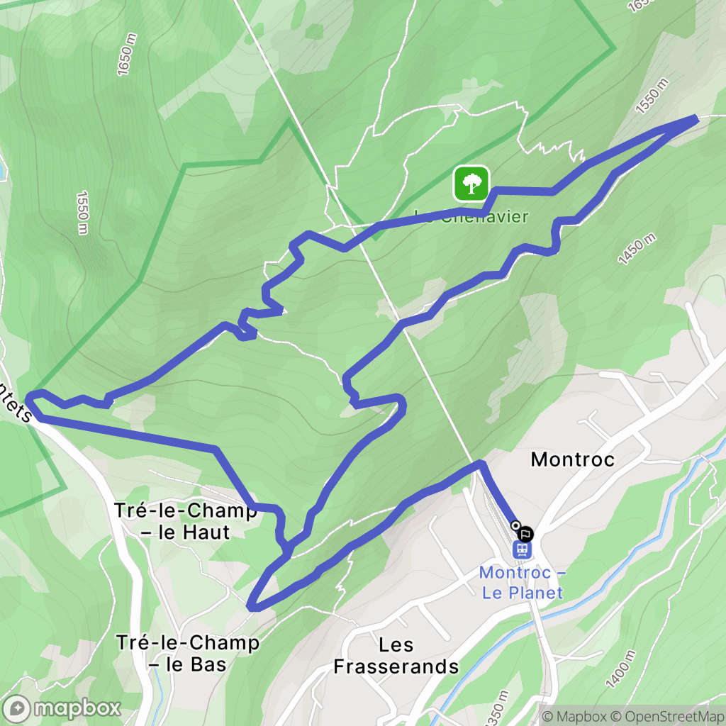 Chamonix-Mont-Blanc : carte du parcours de randonnée - France
