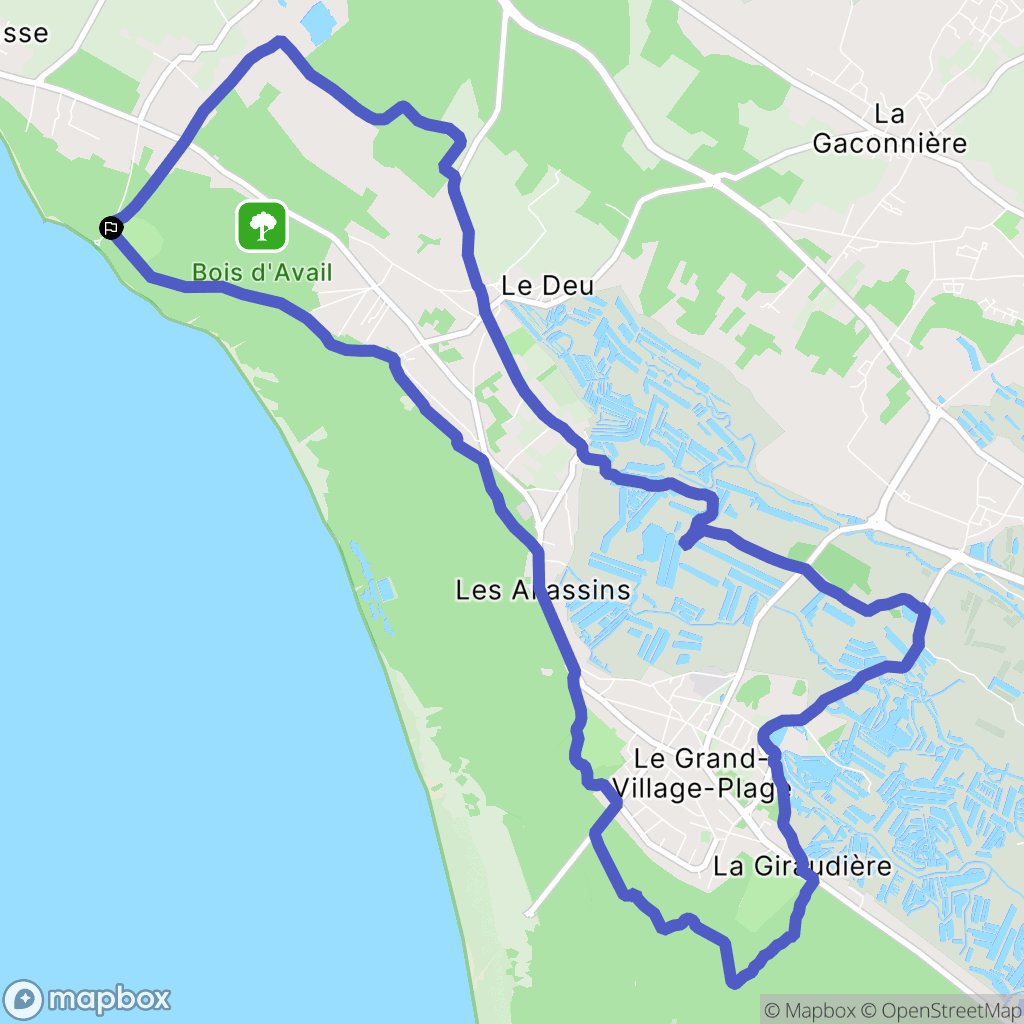 Dolus-d'Oléron : carte du parcours de randonnée - France