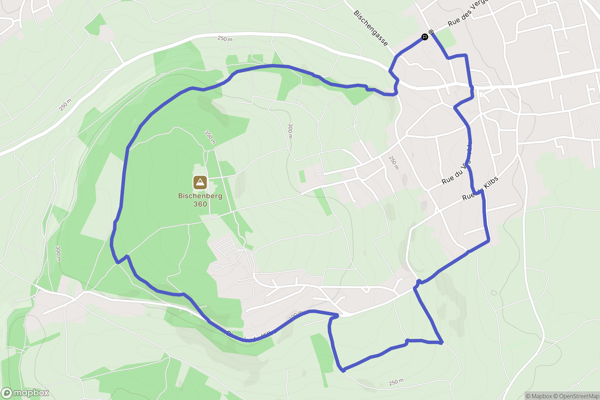 Bischoffsheim : carte du parcours de randonnée - France