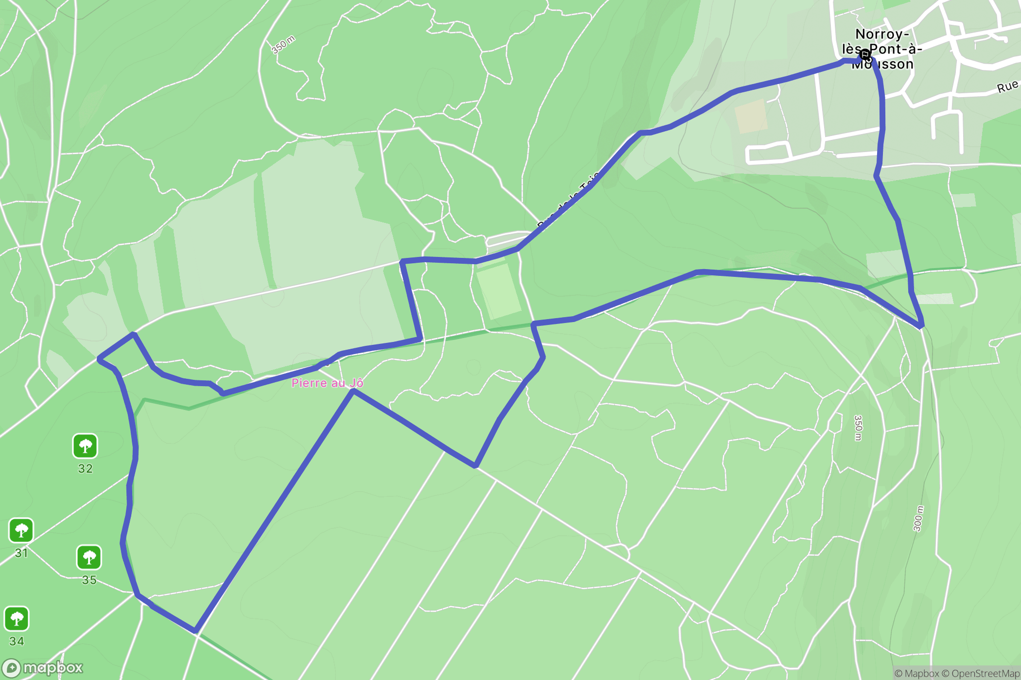 Norroy-lès-Pont-à-Mousson : carte du parcours de randonnée - France