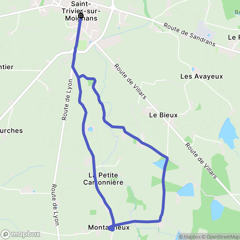 Saint-Trivier-sur-Moignans : carte du parcours de randonnée - France