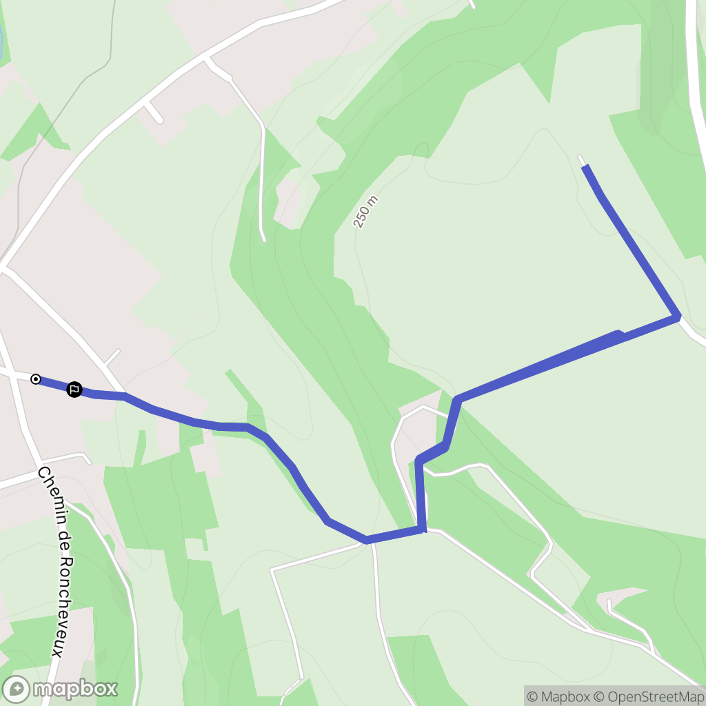 Saint-Didier-de-Formans : carte du parcours de randonnée - France