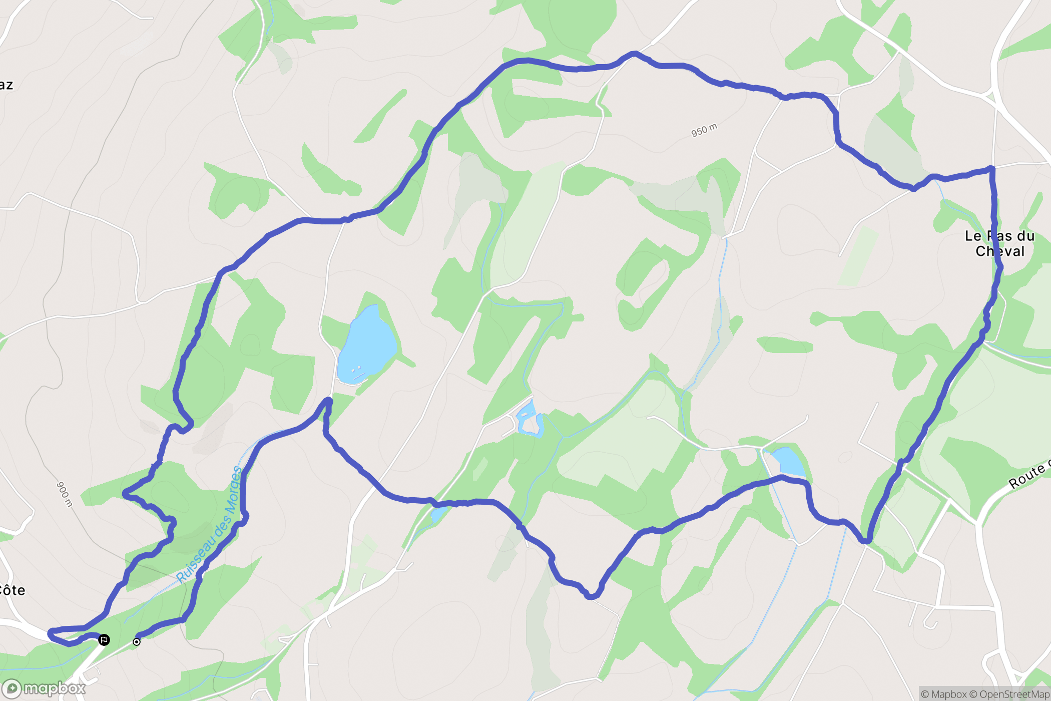 Menthonnex-en-Bornes : carte du parcours de randonnée - France