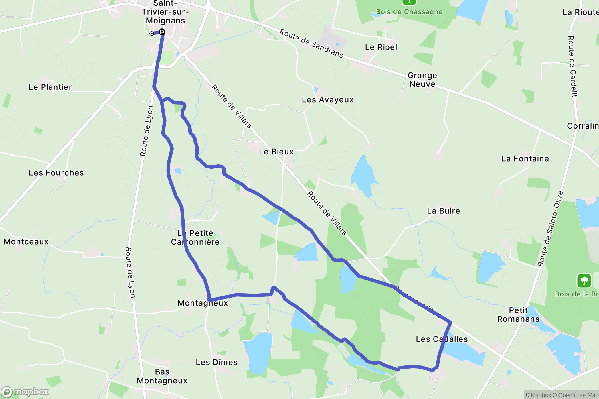 Saint-Trivier-sur-Moignans : carte du parcours de randonnée - France