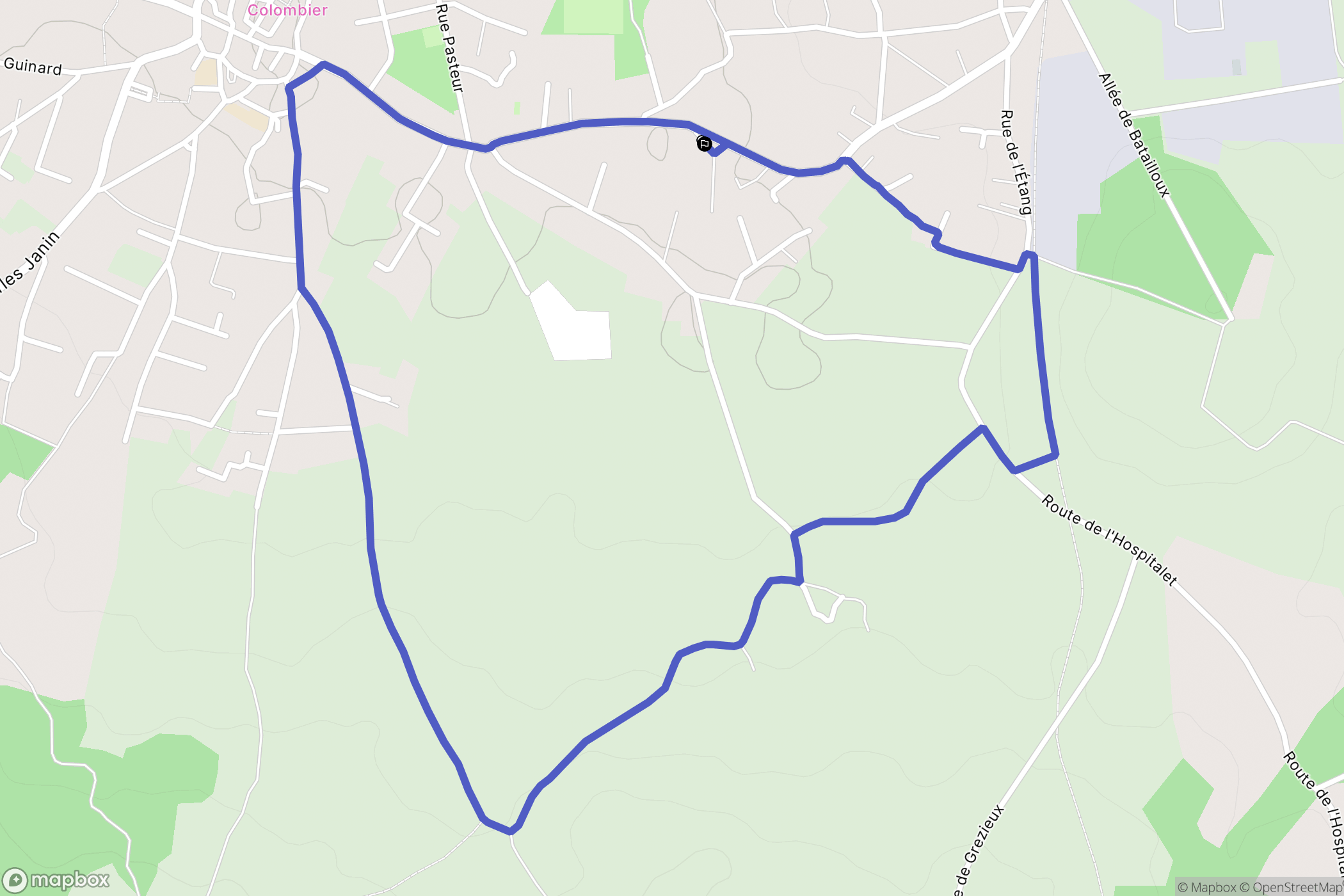 Saint-Marcellin-en-Forez : carte du parcours de randonnée - France