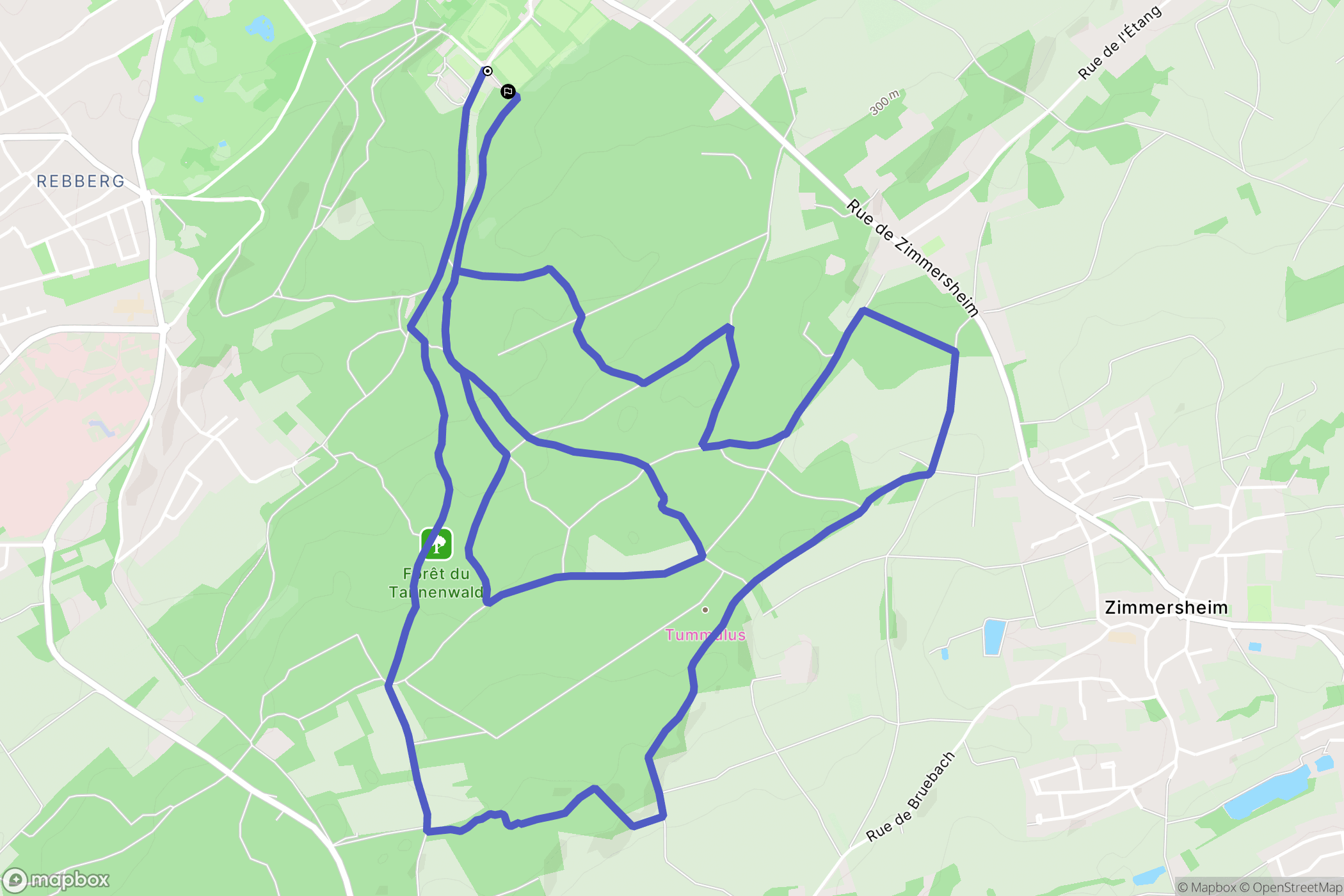 Riedisheim : carte du parcours de randonnée - France