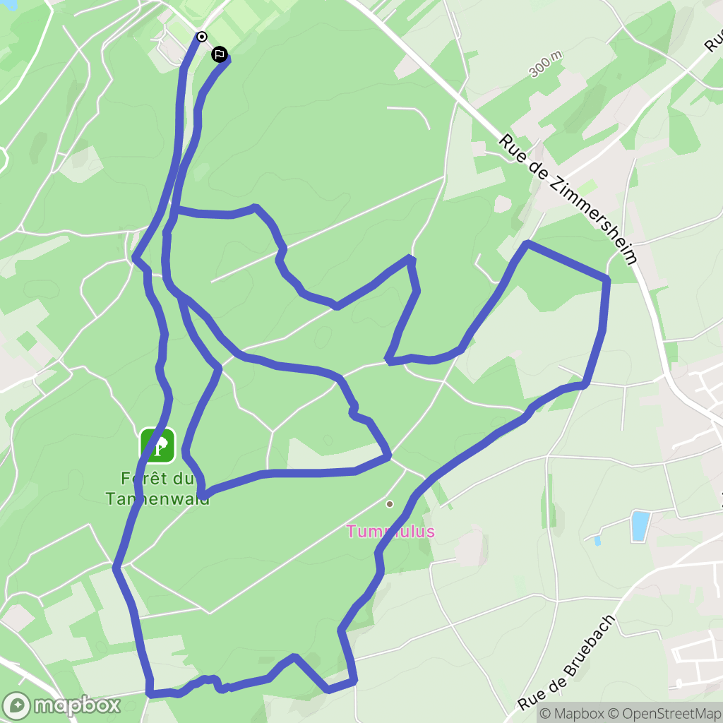 Riedisheim : carte du parcours de randonnée - France