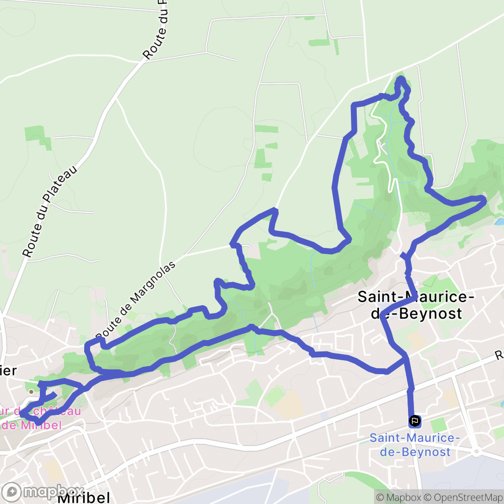 Saint-Maurice-de-Beynost : carte du parcours de randonnée - France