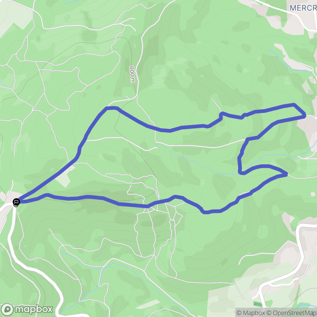 Saint-Pierre-la-Palud : carte du parcours de randonnée - France