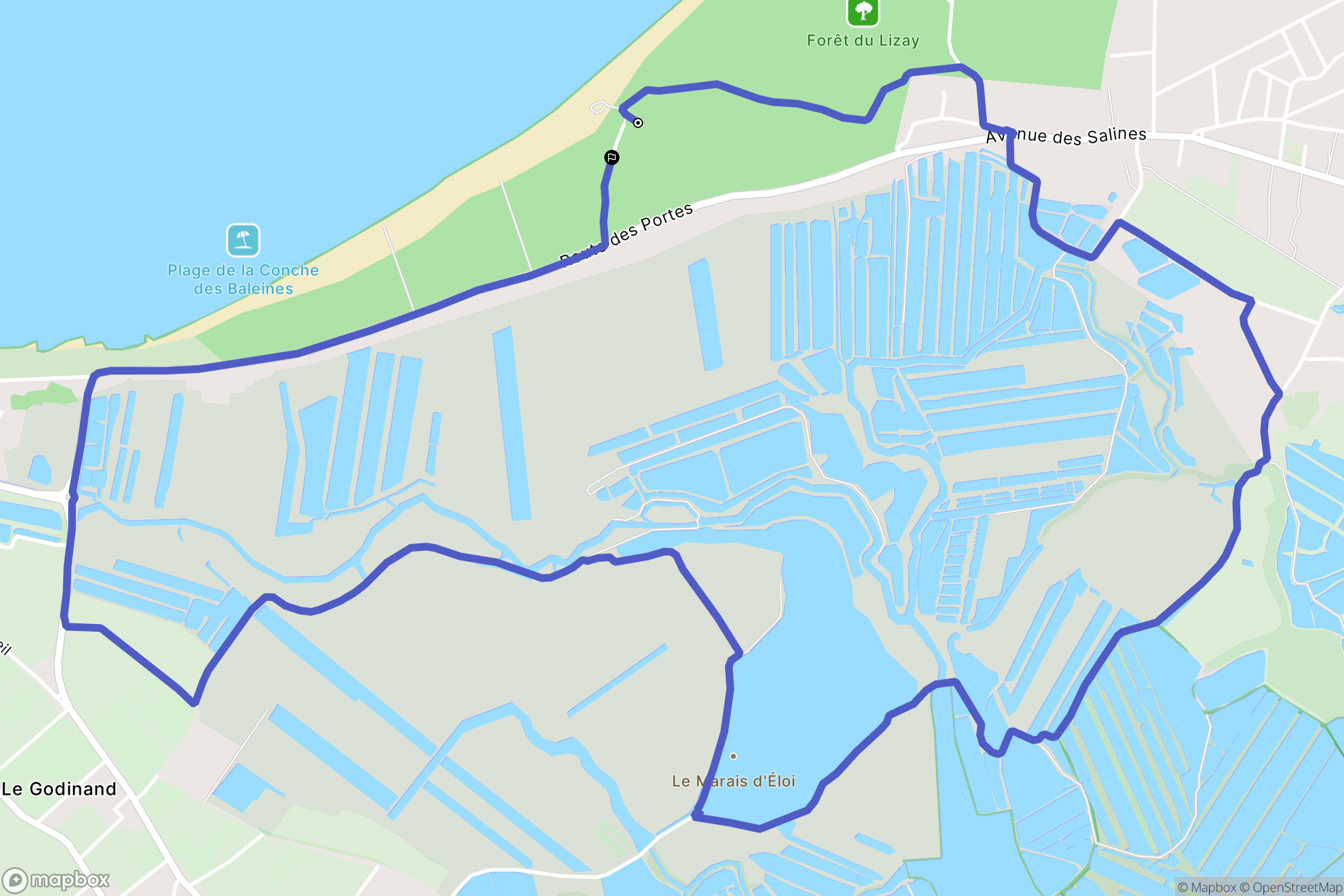 Saint-Clément-des-Baleines : carte du parcours de randonnée - France
